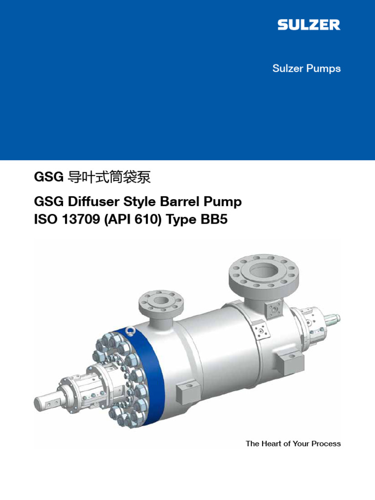 GSG Diffuser Barrel Pump Overview | PDF | Pump | Bearing (Mechanical)