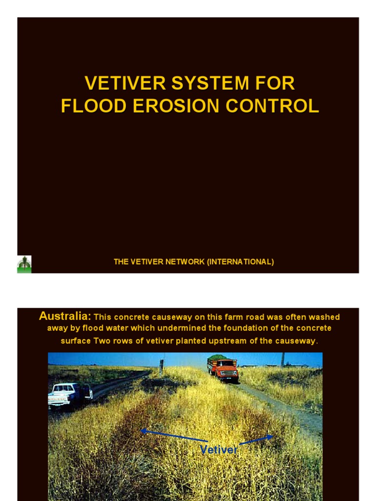 Vetiver System for Flood Erosion Control | PDF | Science & Mathematics ...