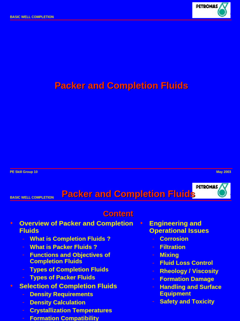 Packer and Completion Fluids Overview | PDF | Sodium Chloride | Filtration