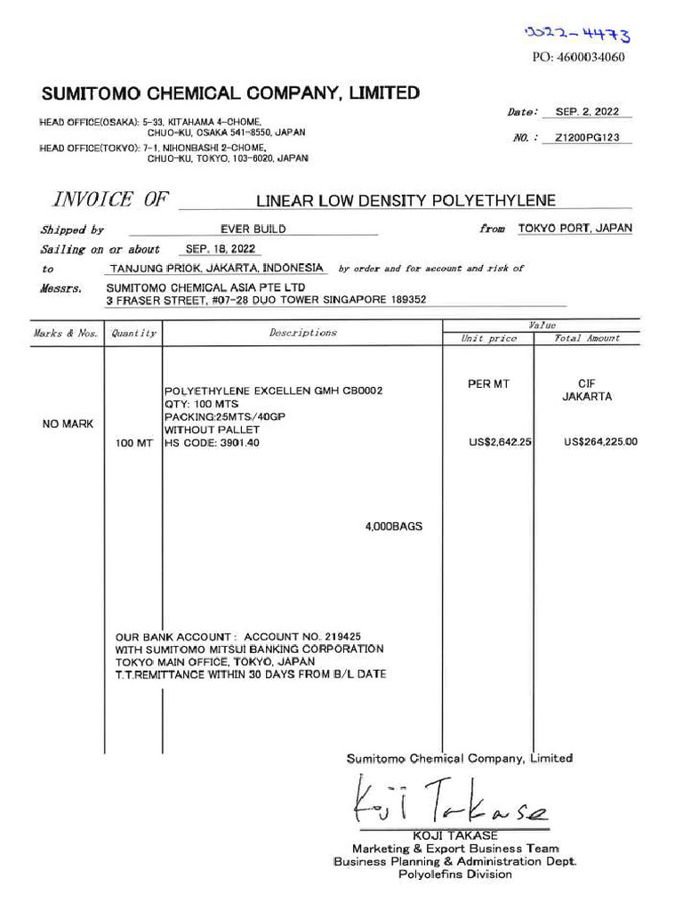 File PDF 3mb | PDF