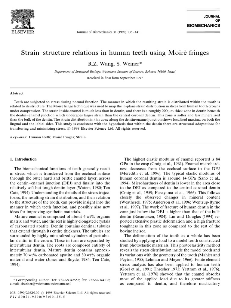 Strain Distribution in Human Teeth | PDF | Tooth Enamel | Dentin