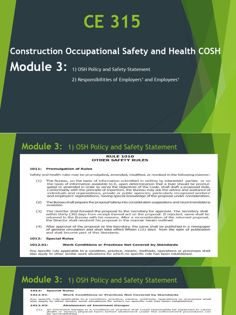 COSH Training Manual Overview | PDF