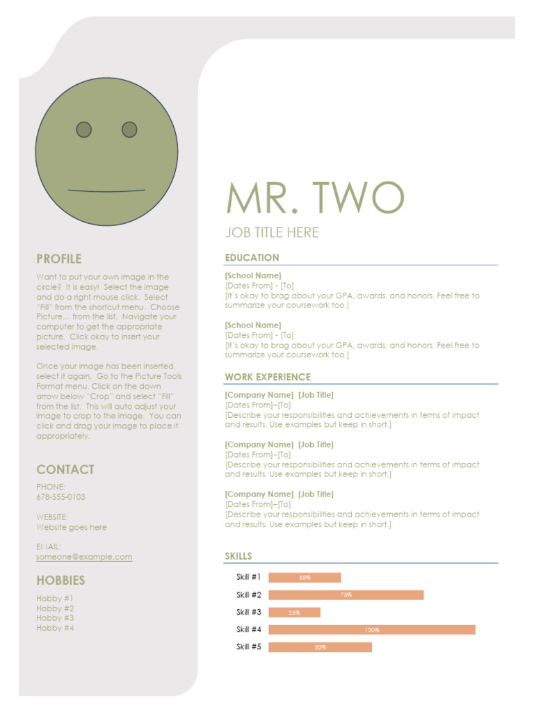 Personal Profile and Resume Guide | PDF