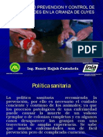 Diagnostico Prevencion y Control de Enfermedades en La Crianza de Cuyes