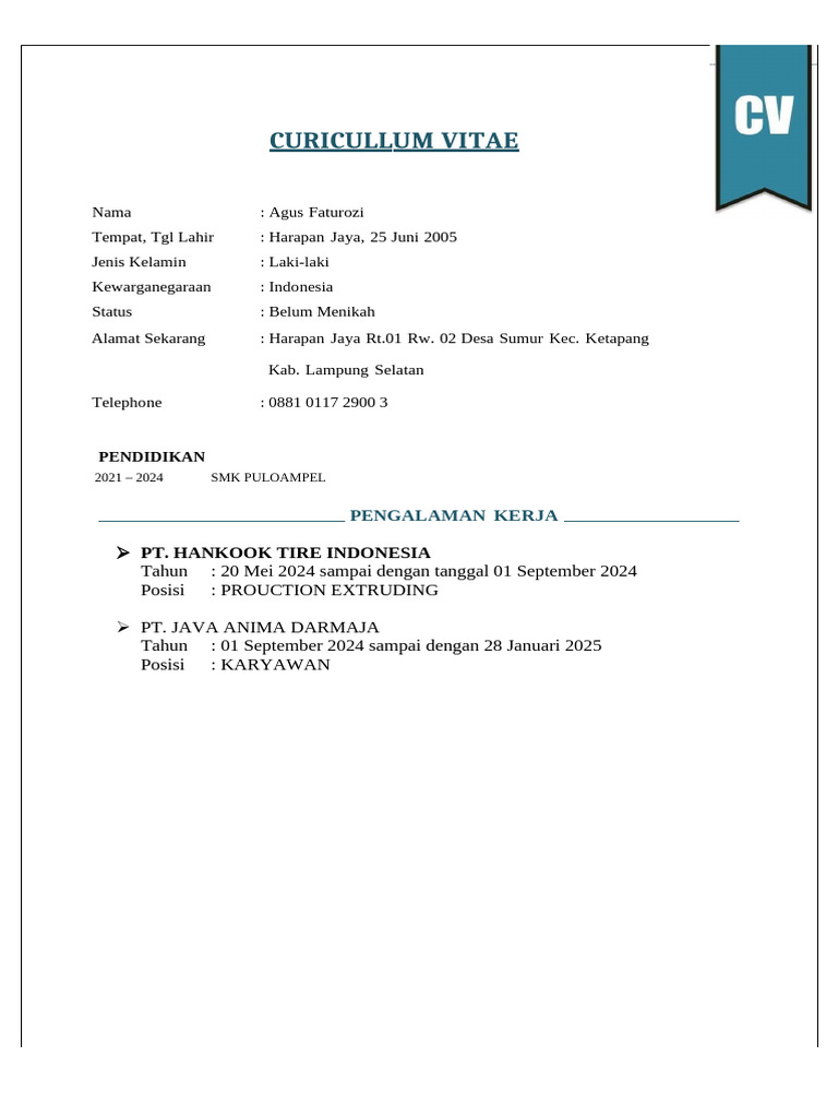 CV Agus | PDF