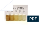 Turbidity Levels