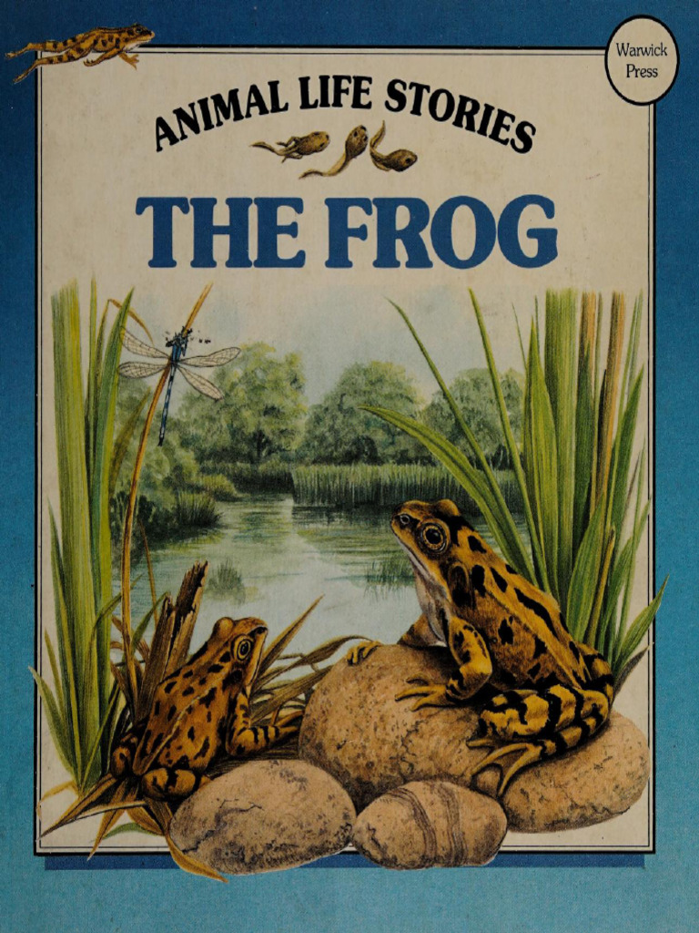 The Frog | PDF