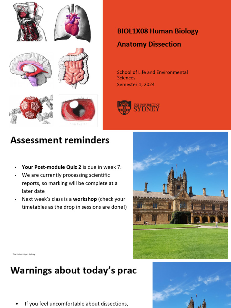 Human Biology Dissection Guidelines | PDF | Heart | Bone