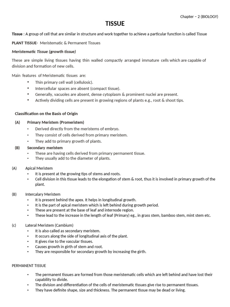 Tissue | PDF | Epithelium | Tissue (Biology)