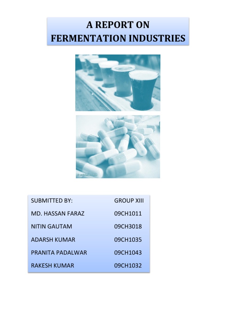 Industrial Fermentation Processes Explained | PDF | Fermentation | Ethanol