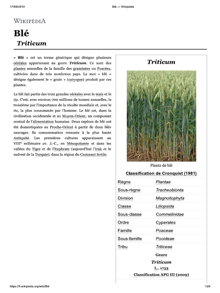 Blé Wikipédia | PDF