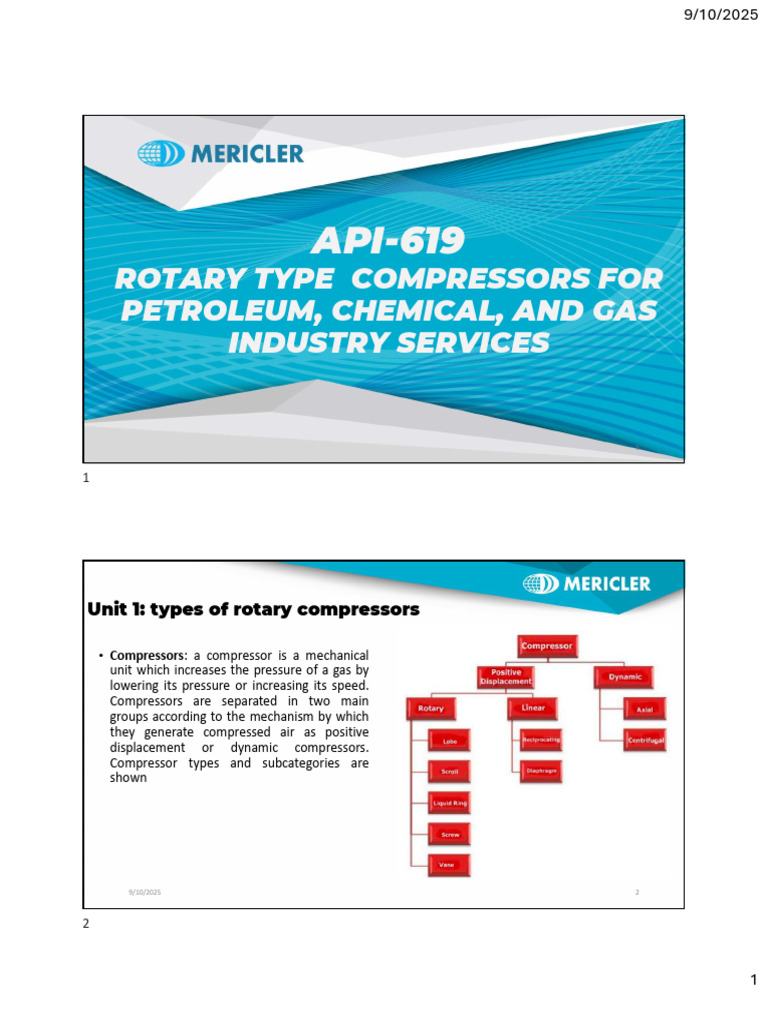 API 619: Rotary Compressors Overview | PDF | Pump | Gases
