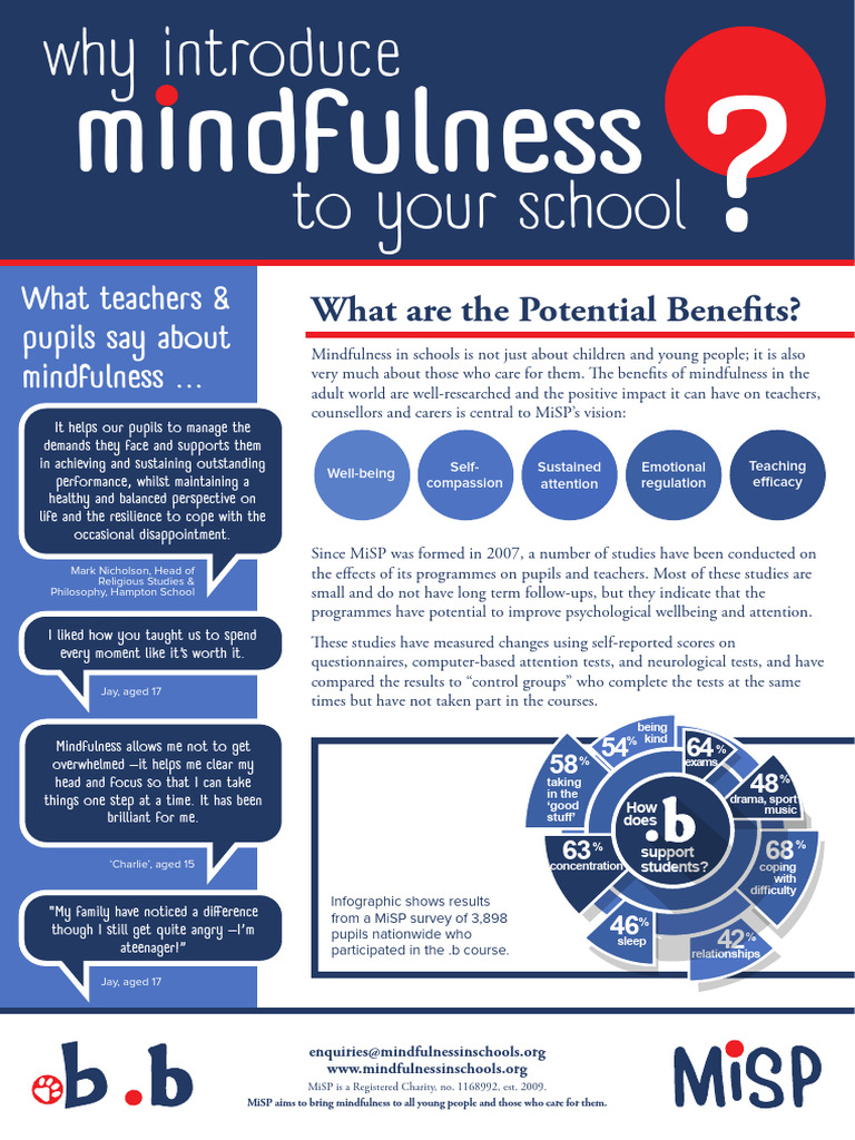 Why Sheet | PDF | Mindfulness | Well Being