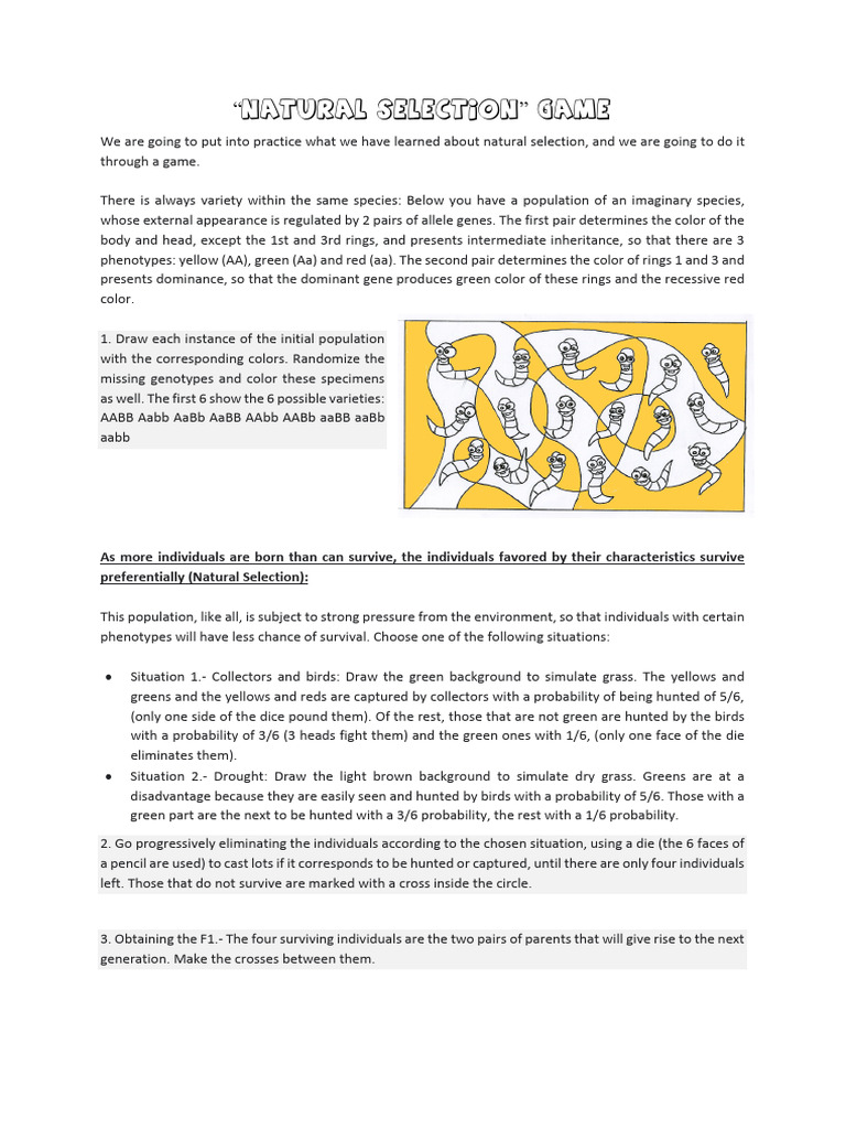 Natural Selection Game Instructions | PDF | Dominance (Genetics) | Genetics