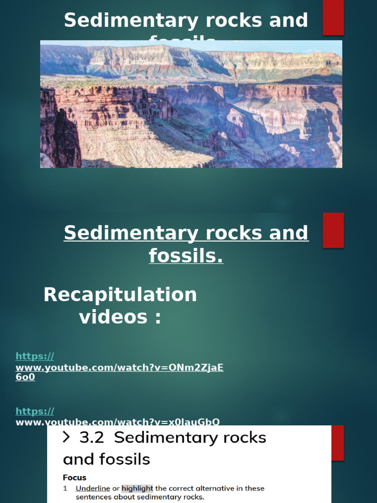 Sedimentary Rocks and Fossils Overview | PDF