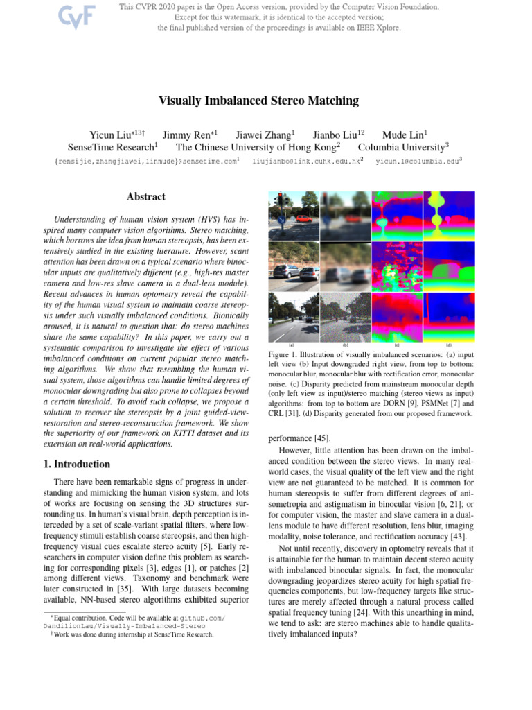 Visually Imbalanced Stereo Matching Insights | PDF | Visual Acuity | Vision