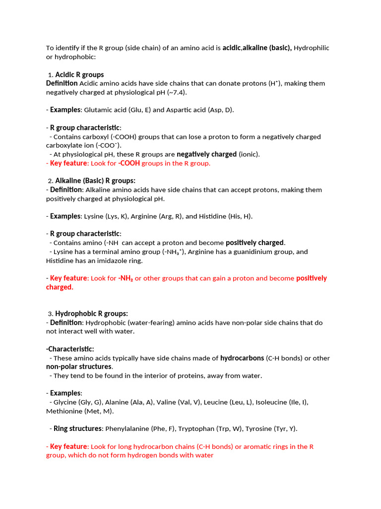 Identifying Amino Acid R Groups | PDF | Amino Acid | Tyrosine