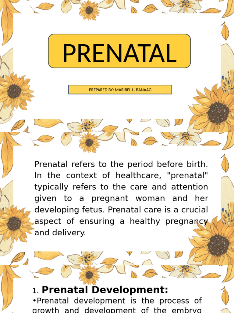 Essential Prenatal Care and Development | PDF | Prenatal Development ...