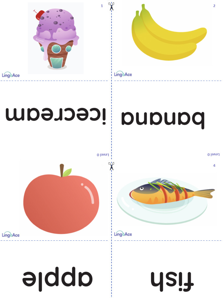 Flashcards - Level 0 - Trial 2.0 | PDF