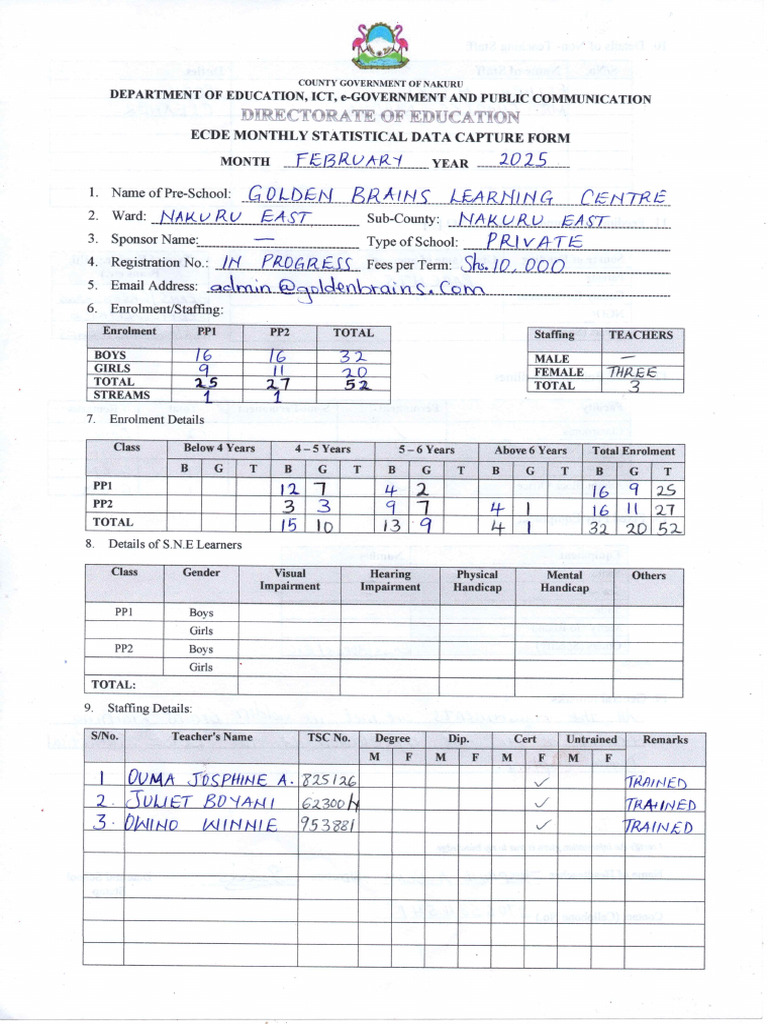 Statsitical Data Capture Form | PDF
