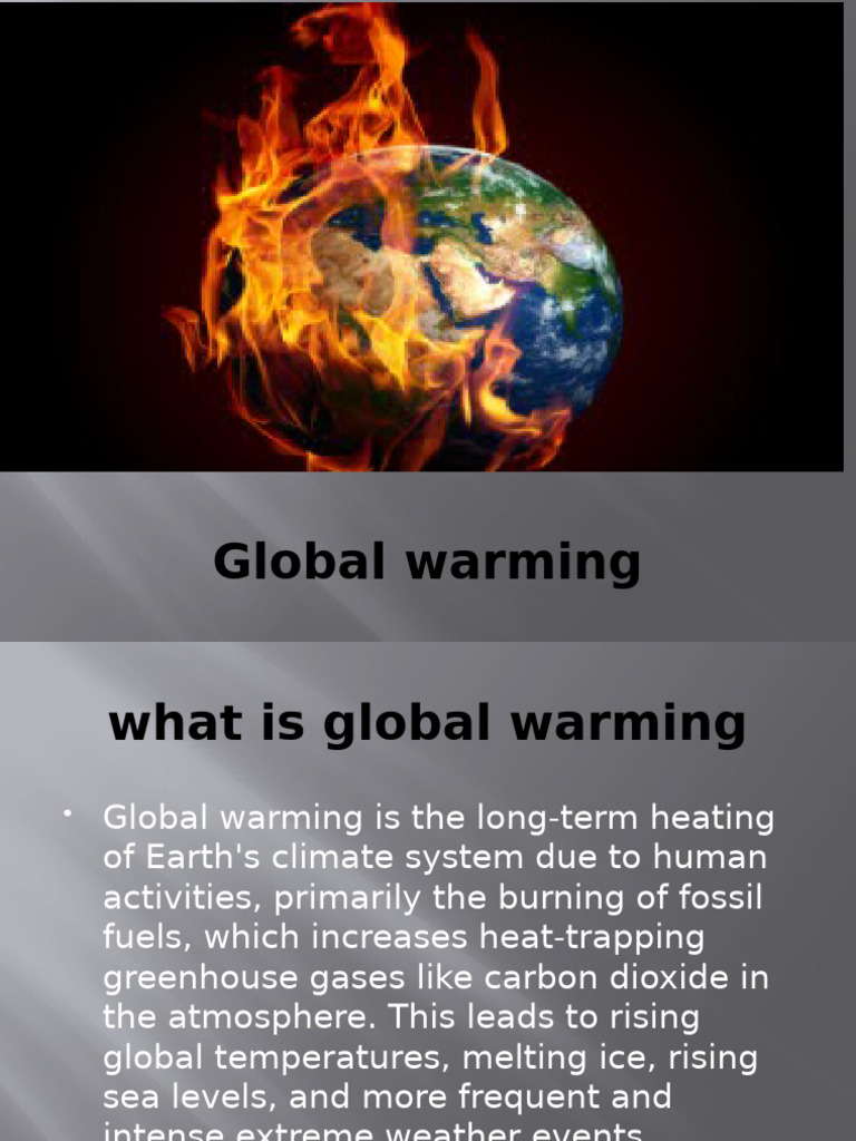 Causes and Effects of Global Warming | PDF