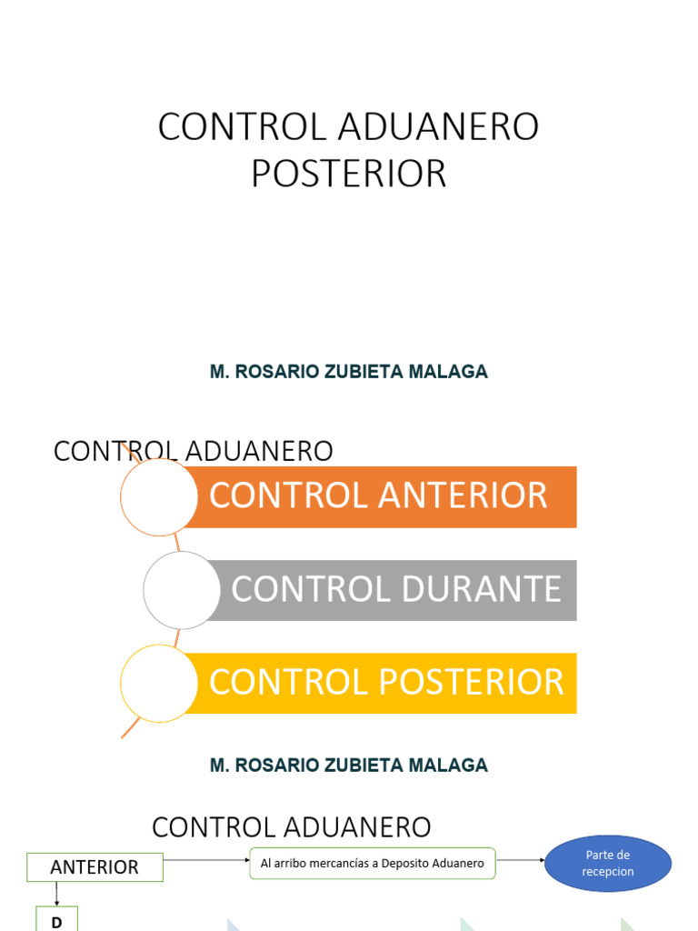 1 Control Aduanero Posterior | PDF | aduana | Relaciones Internacionales