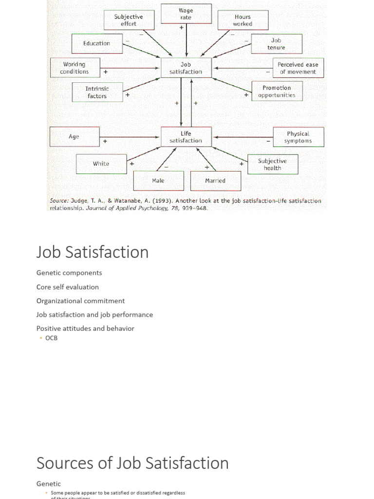 Understanding Job Satisfaction Factors | PDF | Job Satisfaction ...