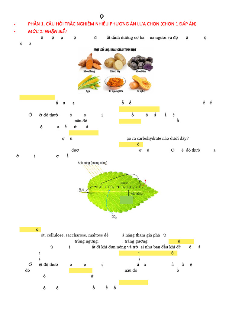 Tinh B T Và Cellulose | PDF