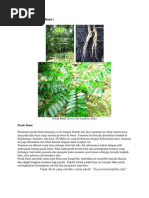 Download pasak bumi by Eni Yuliana SN91499840 doc pdf