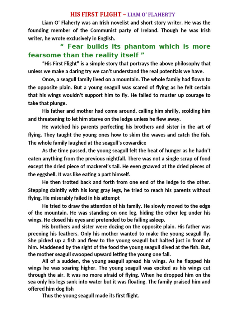 His First Flight-Summary | PDF | Birds | Zoology