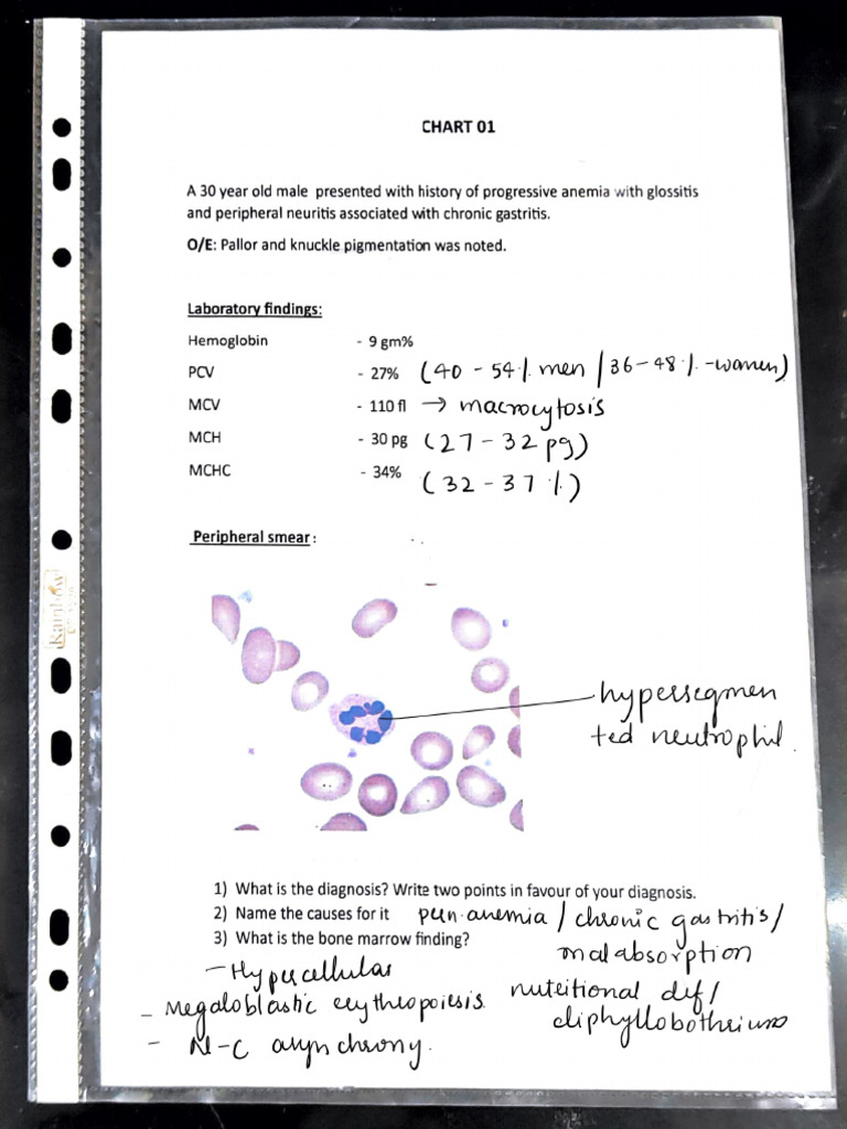 Pathology Charts | PDF