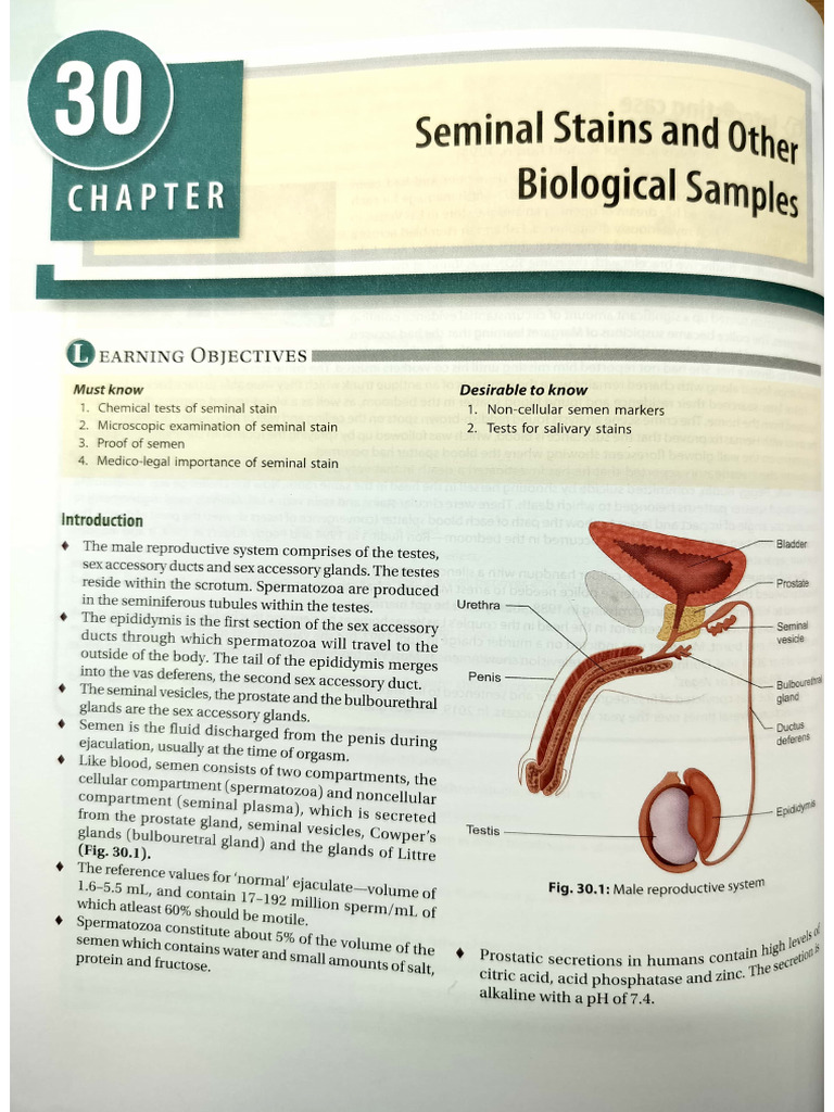 CH 30 Seminal Stains and Other Biological Samples | PDF