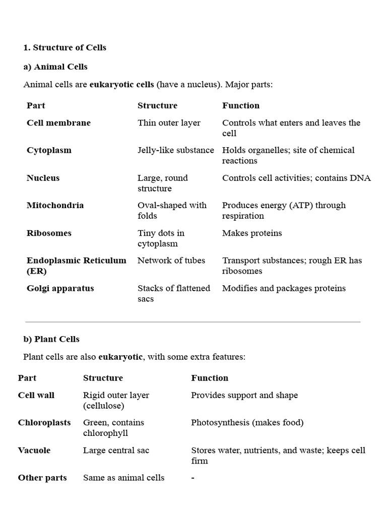 Cell Structures: Animal, Plant, Bacterial | PDF