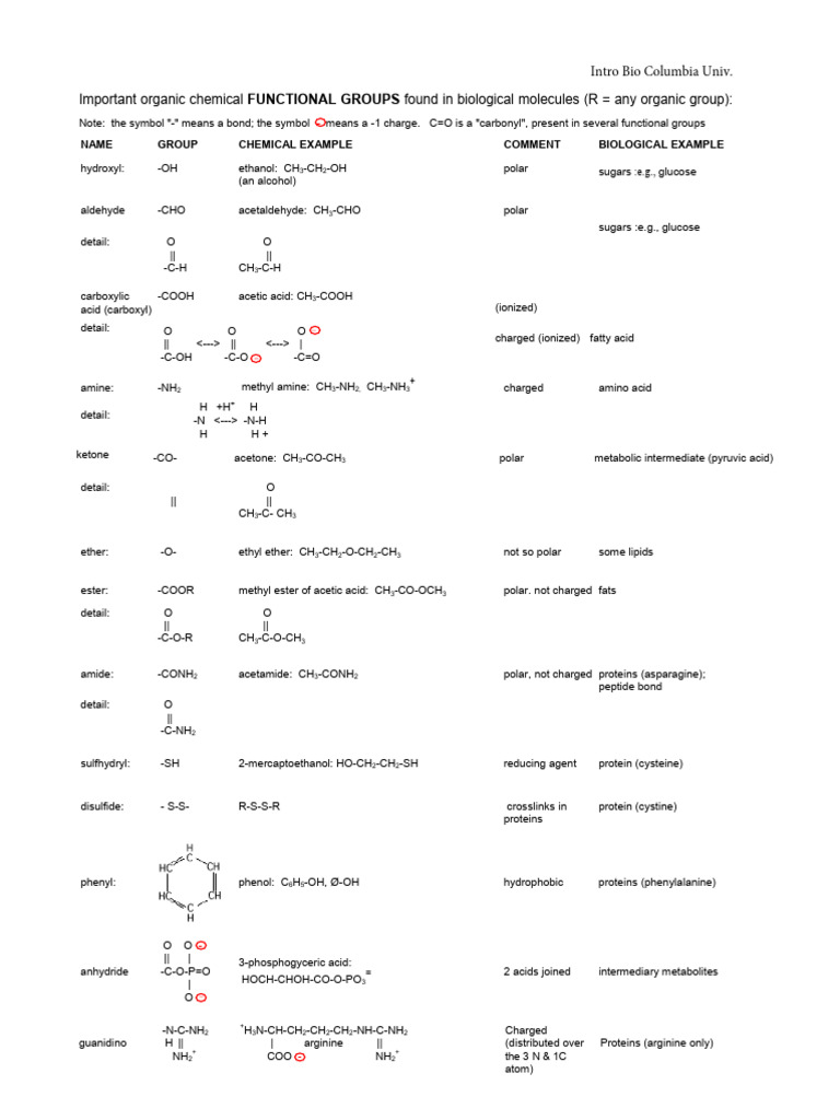 Essential Biological Functional Groups | PDF | Carboxylic Acid | Ester