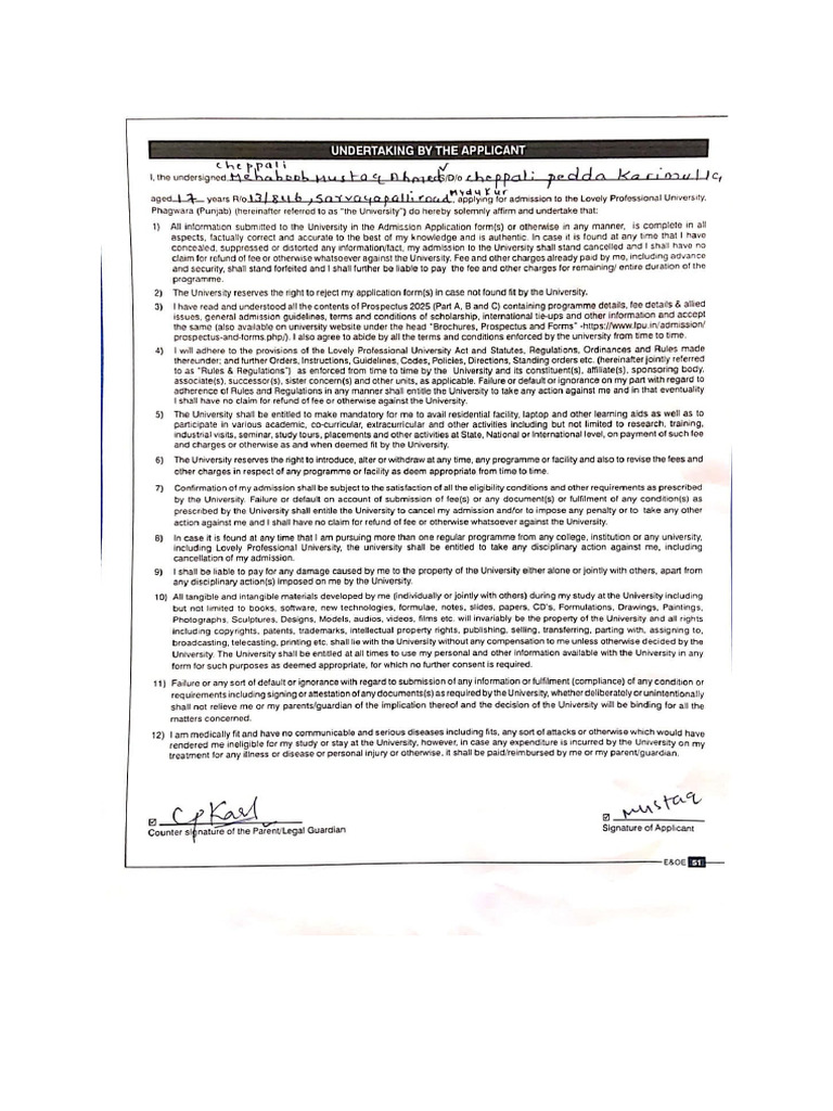 Undertaking Documents | PDF