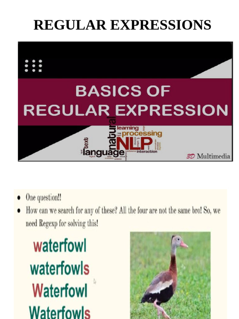 Understanding Regular Expressions in NLP | PDF | Regular Expression ...