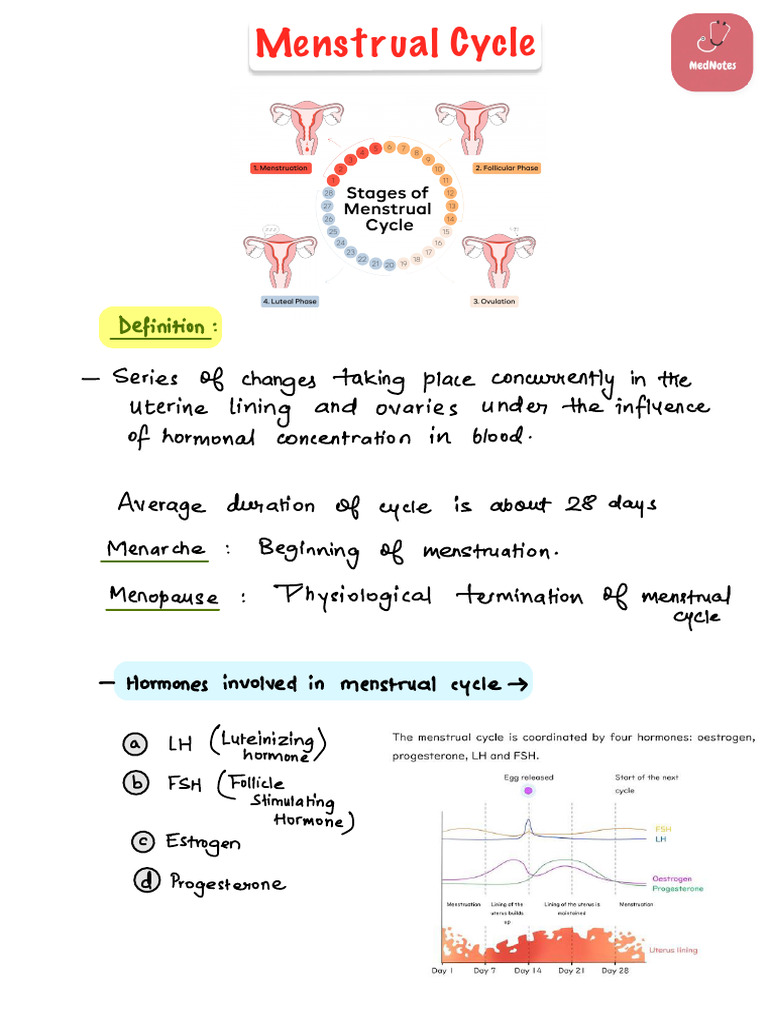 Understanding the Menstrual Cycle | PDF | Menstrual Cycle | Luteinizing ...
