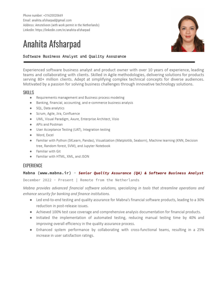 Software Business Analyst Profile | PDF | System | Quality Assurance