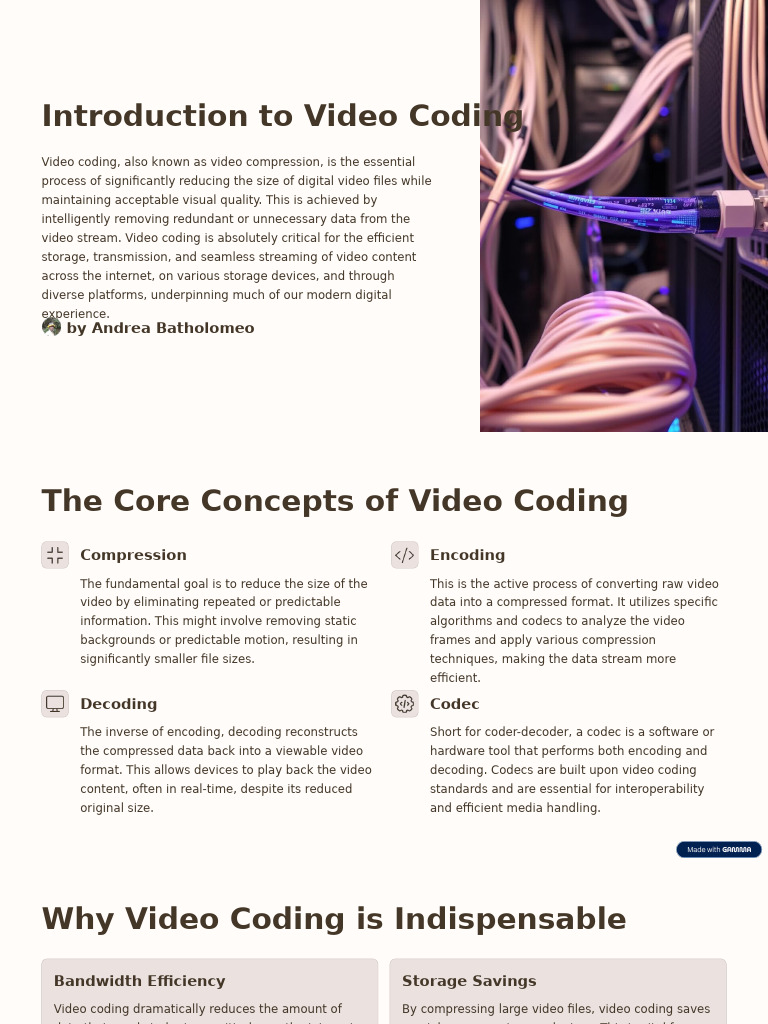 Understanding Video Coding Basics | PDF | Data Compression | Video