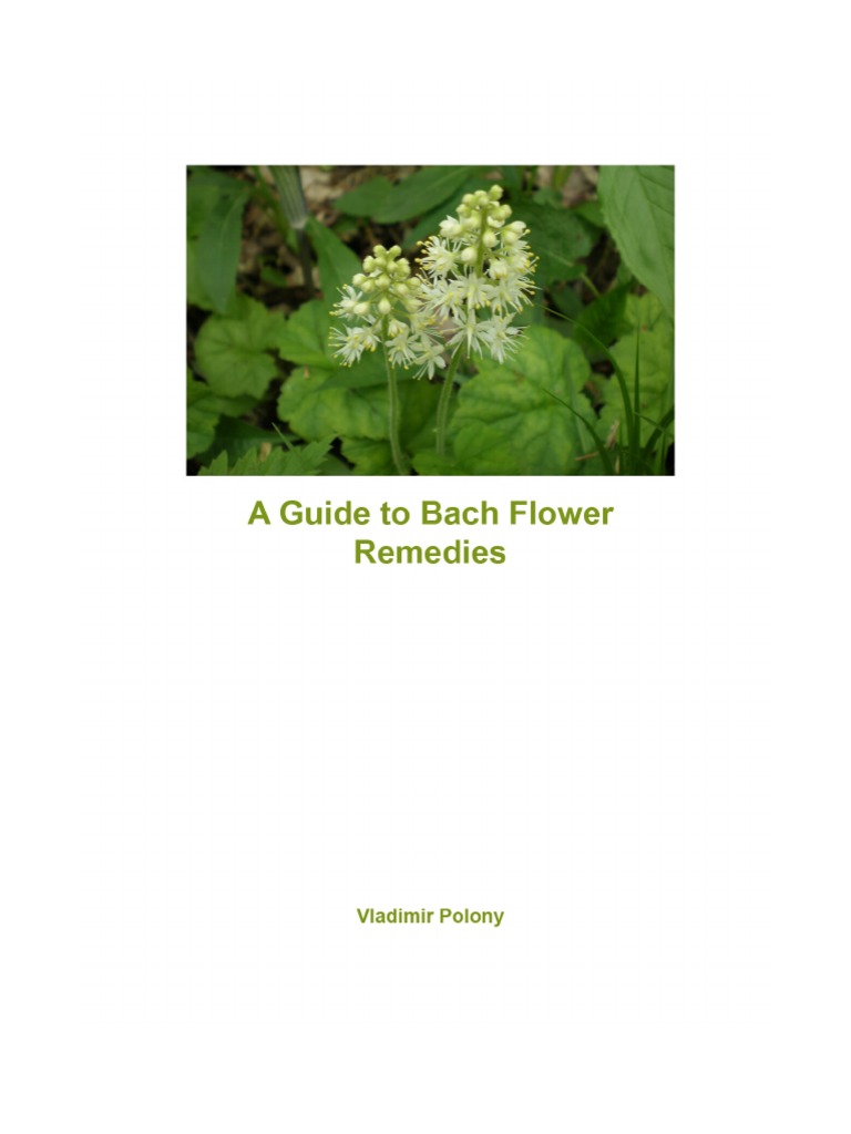 Guide Bach Flower Remedies | PDF