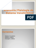 sistemavenolinftico-111010054628-phpapp02