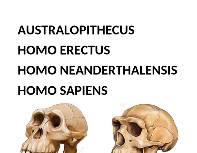 AUSTRALOPITHECUS | PDF