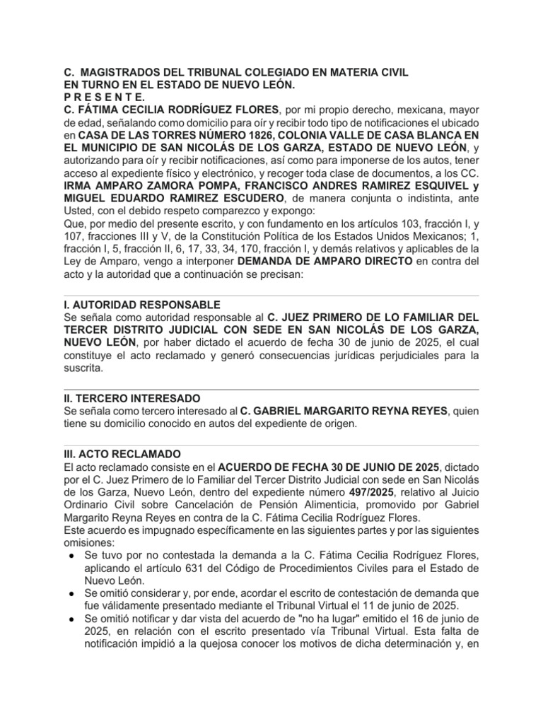 Demanda de Amparo en Nuevo León | PDF | Debido al proceso | Ley procesal