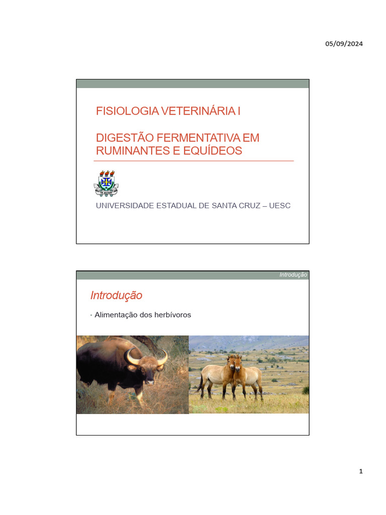 Digestão em Ruminantes e Equídeos | PDF | Digestão | Ruminante
