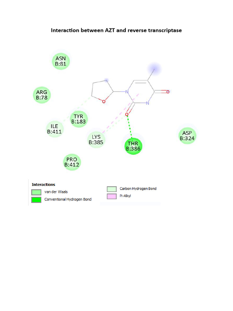 Molecular Docking Results Group 2 AZT Vs Abacavir | PDF