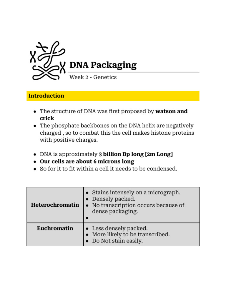 DNA Packaging and Chromosome Structure | PDF | Transposable Element | Gene