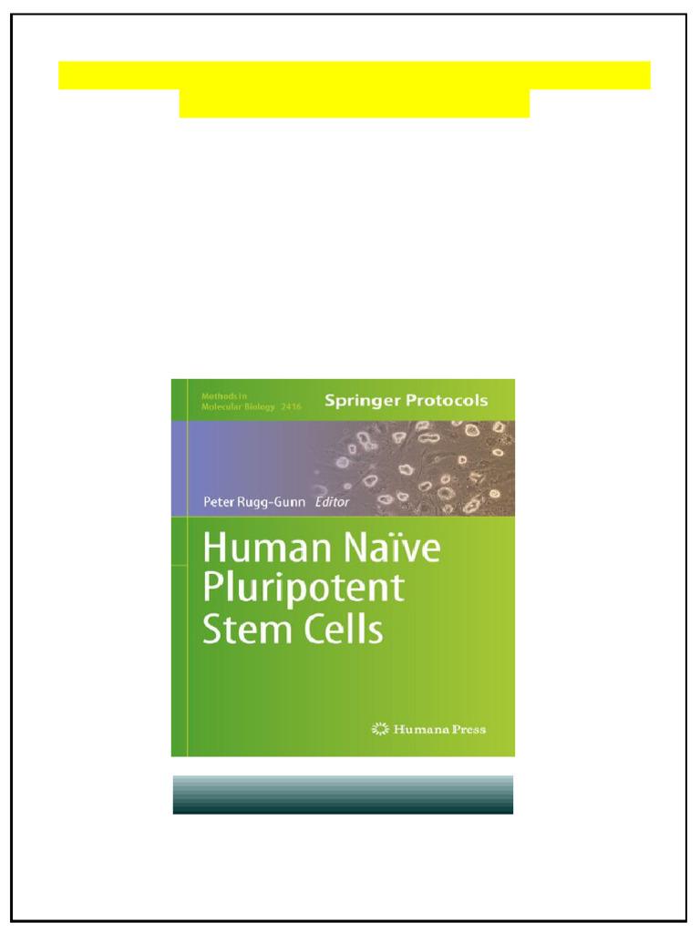 Human Naïve Pluripotent Stem Cells 1st Edition Peter Rugg Gunn Ed No ...