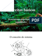 Ecossistemas Conceitos Básicos