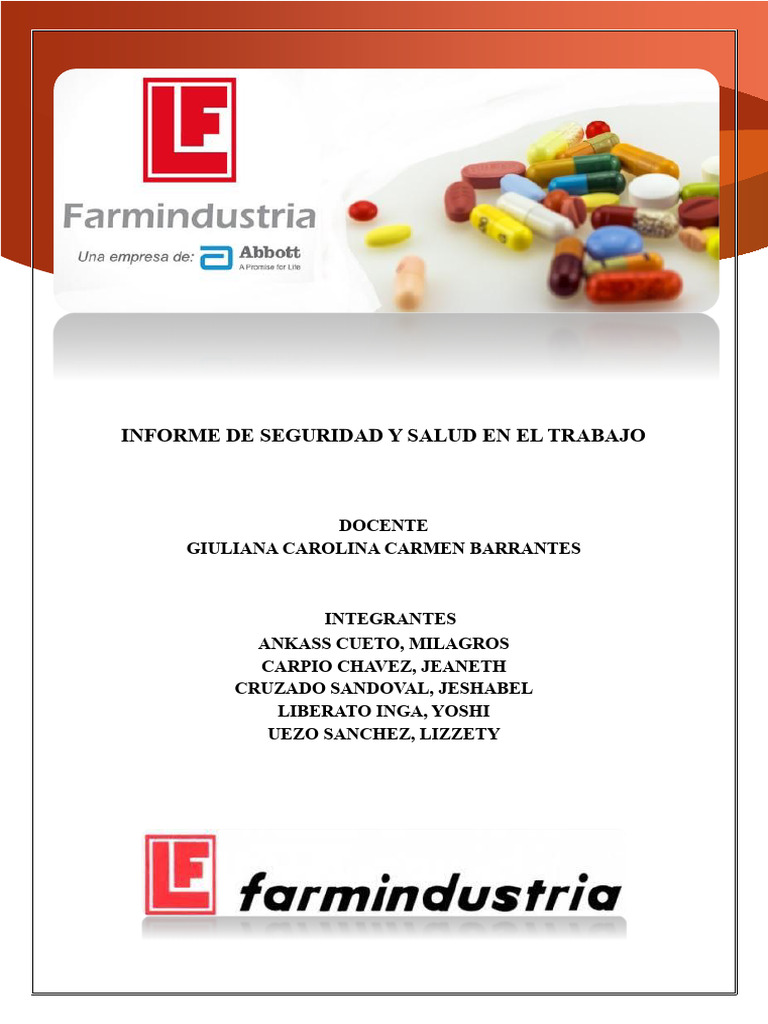 Informe de Seguridad y Salud Laboral | PDF | Seguridad y salud ...