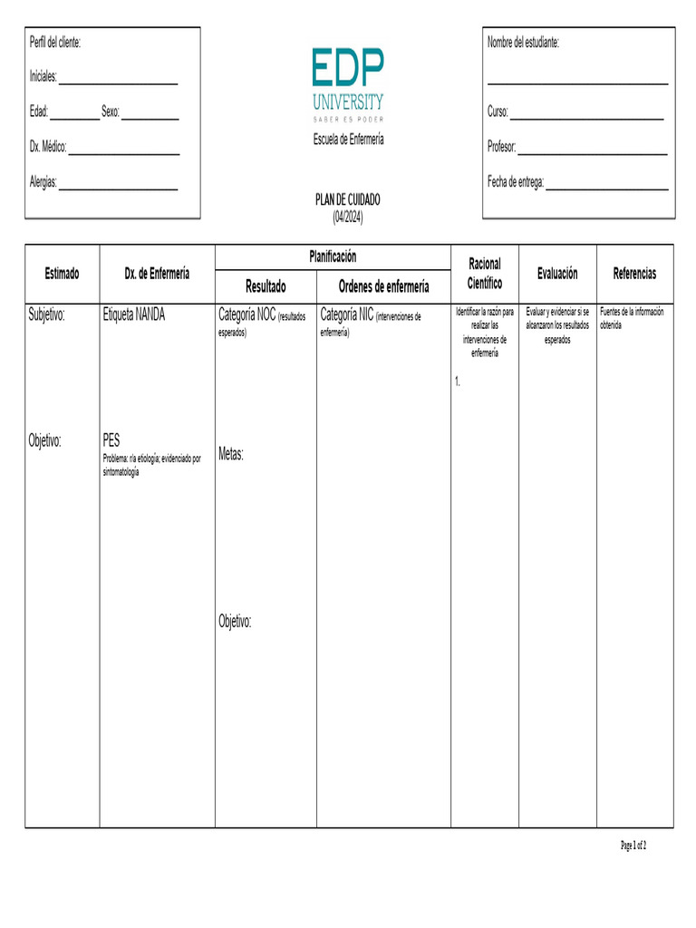 Instrumento Plan de Cuidado (Tabla) - Rev. 04-2024 | PDF | Cuidado de ...